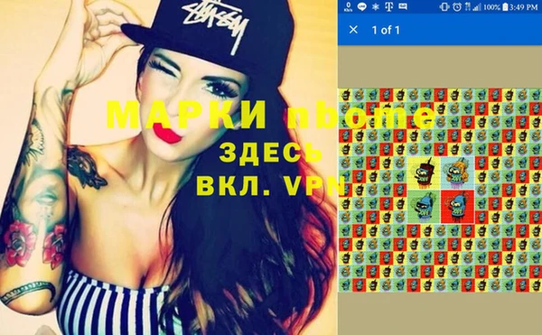 гашик Алексеевка