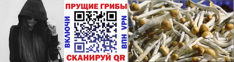 Галлюциногенные грибы ЛСД  Лагань 